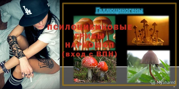ешки Наволоки