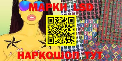 стафф Бийск