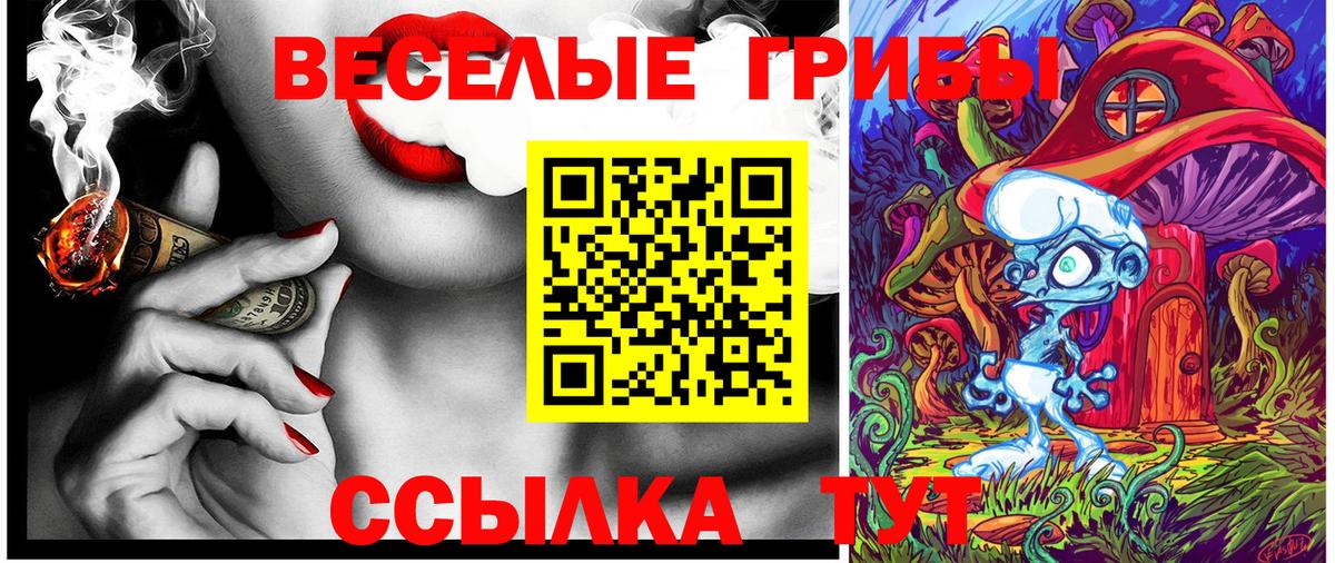Псилоцибиновые грибы Psilocybe  Воткинск 