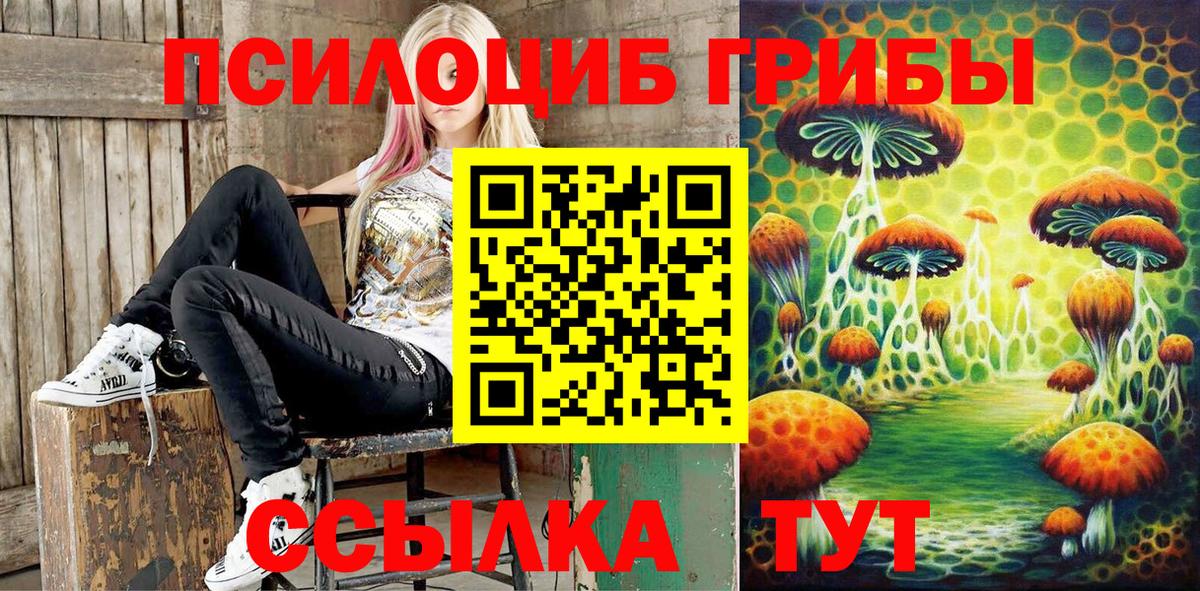 Галлюциногенные грибы Psilocybe  цены   Воткинск  Вход с VPN 