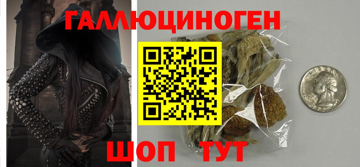 Галлюциногенные грибы Psilocybe Воткинск